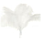 10 pcs Natural Ostrich Feathers Wedding Party Decoration White 40-45cm Y1V6