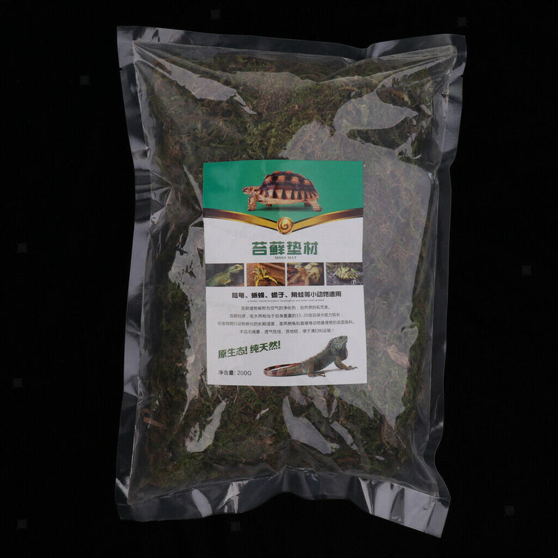 Natural Green Moss Terrarium Plant Moss Fern Pet Reptile Habitat Decoration