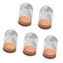 Pack of 5Pcs Mini Clear Glass Hemisphere Dome Cover Shade with Wooden Cork