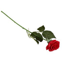 10 pcs Latex Real Touch Rose Decor Rose Artificial Flowers Silk Flowers Flo