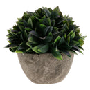 Plastic Artificial Potted Plants Green Grass -13cm / 5.12''(Height)-Purple