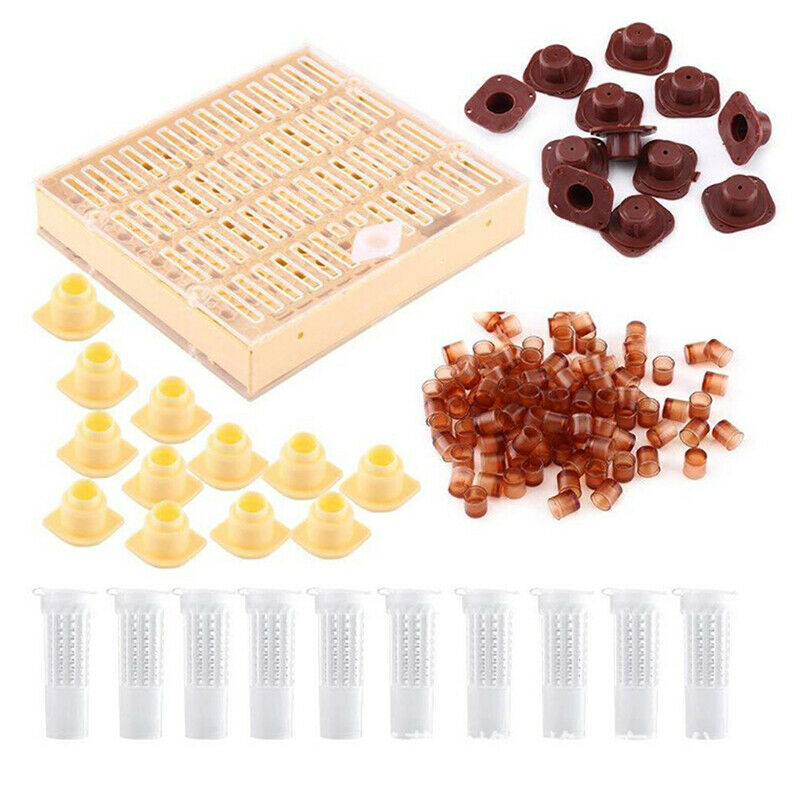 Beekeeping Tools Queen Rearing System Cultivating Box Plastic Bee Cell Cups  Gw