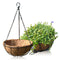 4pcs Hanging Flower Basket Round Flower