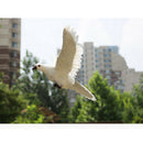 2 Packs of Christmas Bird,Christmas Ornaments Artificial Bird Christmas Tree