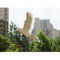 2 Packs of Christmas Bird,Christmas Ornaments Artificial Bird Christmas Tree