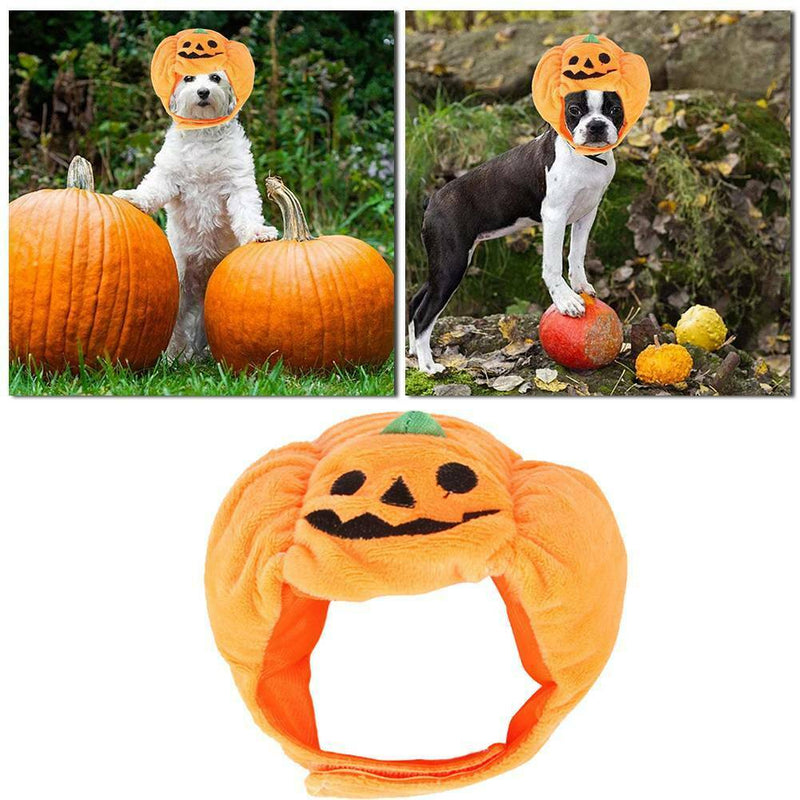 Pet Halloween Costume Cat Dog Funny Adjustable Pumpkin Hat Party Accessory AU