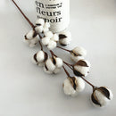 3 Pack 21 inch Cotton Stems Farmhouse Decoration Floral Picks - Rustic Styl N6U9