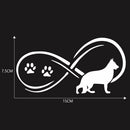 Dachshund Dog Car Styling Stickers Vinyl Decals Window Graphics (White) A