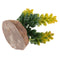 Set of 2, Plastic Terrarium Bamboo Leaf & Succulent Plant Animals Habitat for