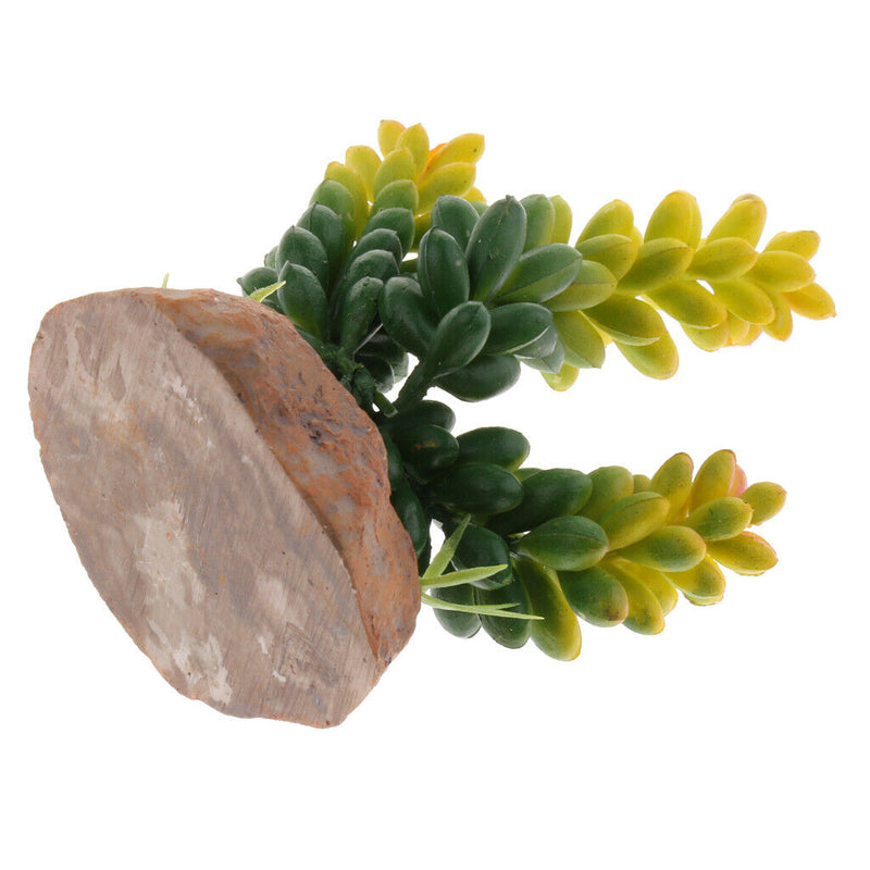 Set of 2, Plastic Terrarium Bamboo Leaf & Succulent Plant Animals Habitat for
