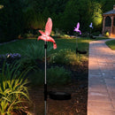 Solar LED Hummingbird Lawn Light RGB Color Changing Garden Landscape Lamp
