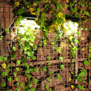 Solar Outdoor Wall Light Waterproof 12 LED Garden Street Lamp (White Light) A