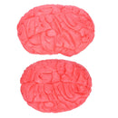 Scary Haunted House HUMAN BRAIN Organ Body Part Halloween Horror Prop Decor S 3C