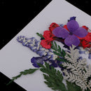 Multi Kinds of Natural Press Dried Flowers Pressed Leaves 5-30mm in Width for