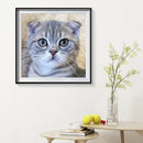 5D DIY Diamond Painting Cat Full Drill Embroidery Cross Stitch Art Picture