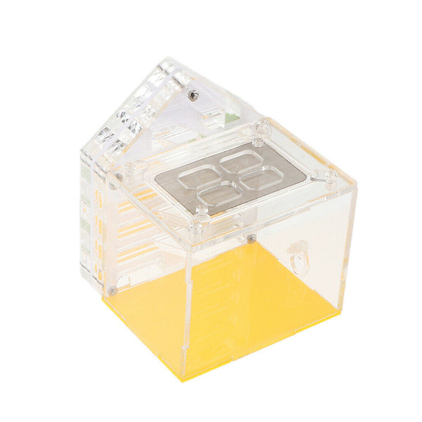 Formicarium Acrylic Transparent Feeding Breeding Box - Allows Study of