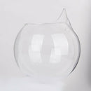 5Pc 4inch Hanging Glass Ball Vase Flower Plant Pot Terrarium Container Decor