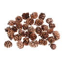 120 Bulk Natural Ponderosa Pine Cones Xmas Home Decorations Pine Cone Crafts
