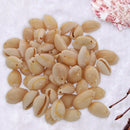 50pcs Shell Beads for Women jewelry Bracelet Necklace Earring Making DIY Gift M3
