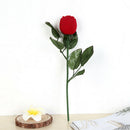 1pc Red Rose Flower Velvet Jewelry Storage Box Engagement Ring Box fiJ uW