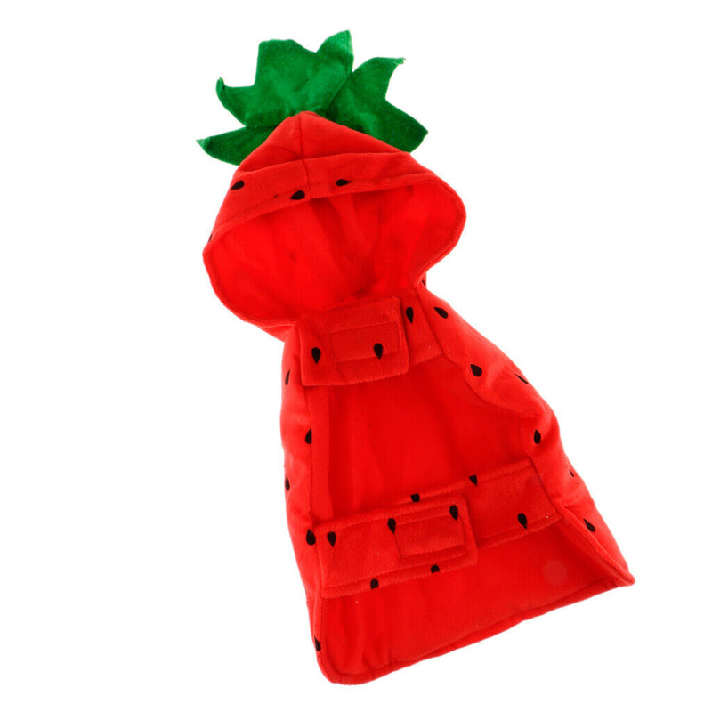 Kitty Cat Halloween Outfit Strawberry Costume Funny