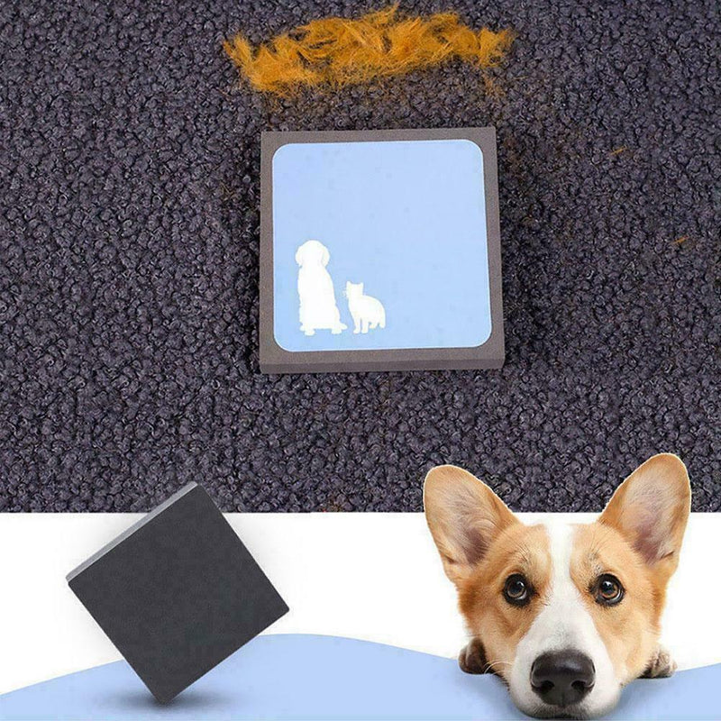 Magic Pet Cleaning Sponge Stain Eraser Fur Remover Supplies~ Eco Brush C5O6