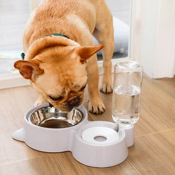 Cat Bowl Dog Water Feeder Bowl Cat Kitten Drinking Fountain Food Dish Pet B