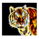 DIY Tiger 5D Diamond Painting Embroidery Cross Stitch Handicrafts Kit Decor