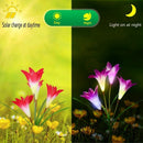 Outdoor Solar Garden Stake Lights,Upgraded Led Solar Powered Light, Multi-C