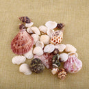 Aquarium Beach Nautical Shell Approx Sea Shell Photography Props FishTank W5C6