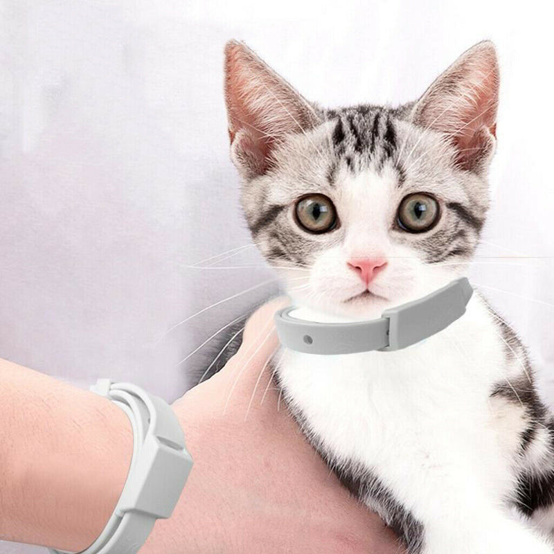 Flea & Tick Collar for Cats and Dogs Repels Fleas,Tick Cat Flea  Tick Collar