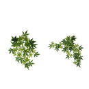 2 PCS Reptiles Vine Jungle Climber Vines Terrarium Habitat Ornament Decor