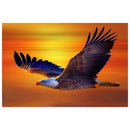 5D DIY Full Drill Diamond Painting Flying Eagle Cross Stitch Embroidery Kit