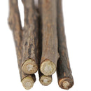 5 pcs Cat Cleaning Teeth Pure Natural Catnip Stick Pet Molar Toothpaste Sna BX