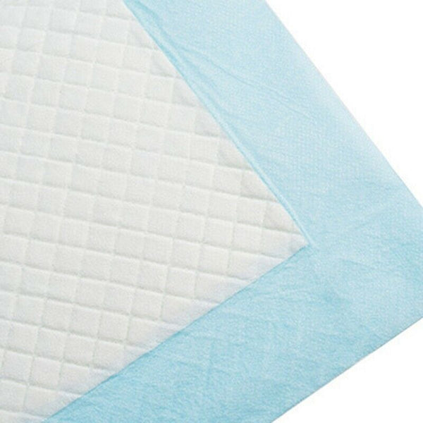 100Pcs Super Absorbent Pet Diaper Dog Training Pee Pads Disposable Healthy NE1T8