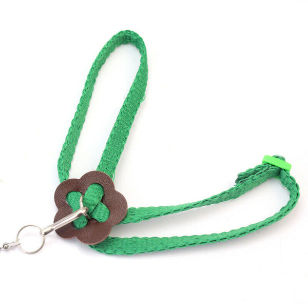 Stylish Parrot Bird Harness Leash Anti-bite Adjustable 80x0.8cm