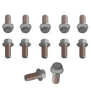 12Pieces Racing Brake  Rotor Bolt Kit Carbon steel for 50cc-550cc 2001-on