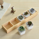 Fleshy Flower Iron Ceramics Flowerpot Wooden Box Succulent Plant Flower Pot O7M7