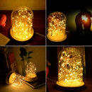 Glass Dome Bell Jar Cloche Wooden Base with 20LED Fairy Stand Light String X0G5