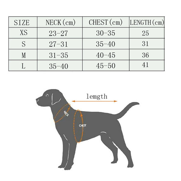 2 x Pet Recovery Suit for Abdominal Wounds or Skin Diseases, E-Collar