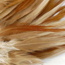 50x Rooster Feather DIY Decor Creative Jewelry Hats 10-15cm B1B1
