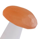 Natural Selenite Quartz Crystal Polished Mushroom Crystal Stone  Ornaments