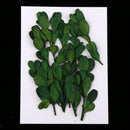 Natural Dried Flowers Bouquet Dry Flowers Decorative Leaf Bouquet ,Real Pressed