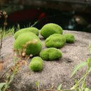 10x Mini Artificial Moss Balls Moss Stones Grass Turf Stones Fairy Garden C