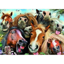 5D DIY Full Drill Diamond Painting Cross Stitch Embroidery Kit (Horse06)