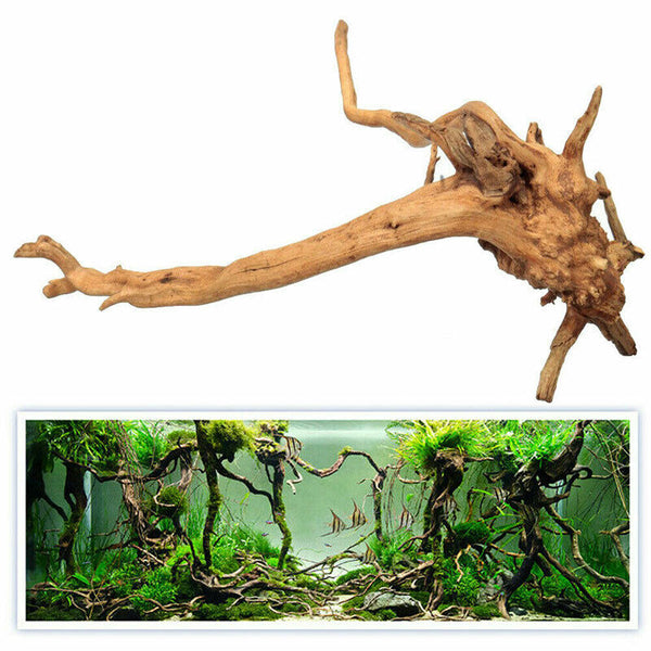 Aquarium Natural Tree Trunk Driftwood Fish Tank Plant Wood Decoration Orna Hn