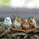 4 Pcs Garden Owl Moss Terrarium Desktop Decors Craft Bonsai Animals MiniatureMOA