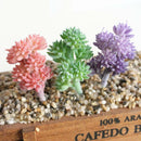 European Style Artificial Succulent Edelweiss Flocking Plant Decor