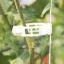 100X Tomato Veggie Garden Plant Support Clips For Trellis Twine NEW RJG