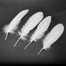 100pcs White Feathers Goose Craft for Party Hat Crafts Wedding Decoration 1 U4Y5